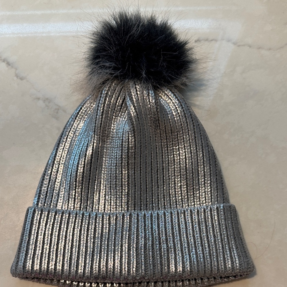 NWOT Aerie Shimmering Silver Beanie !!